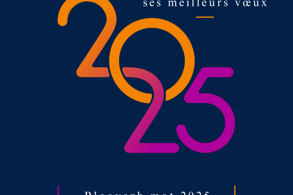 Carte de Vœux 2025 Message Bonne Année Marine Orange Coloré Moderne (1)